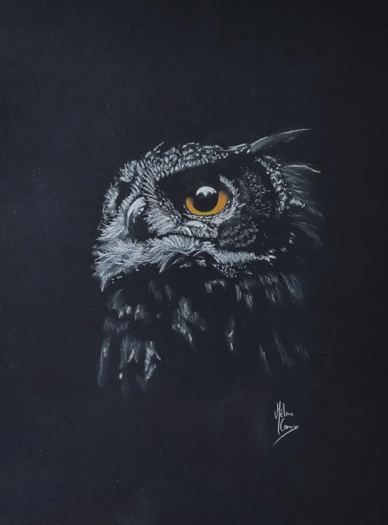 Portrait aux crayons pastels sec d'un hibou grand duc