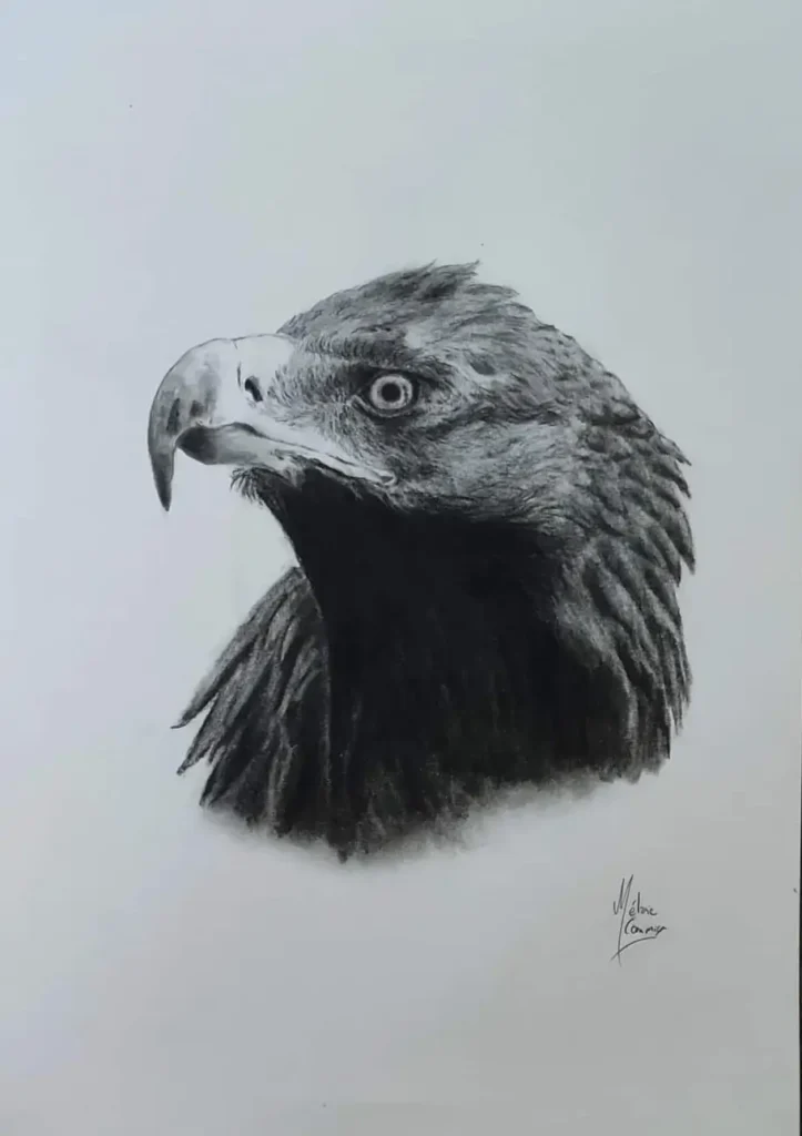 Portrait aux crayons graphites d'un aigle royal