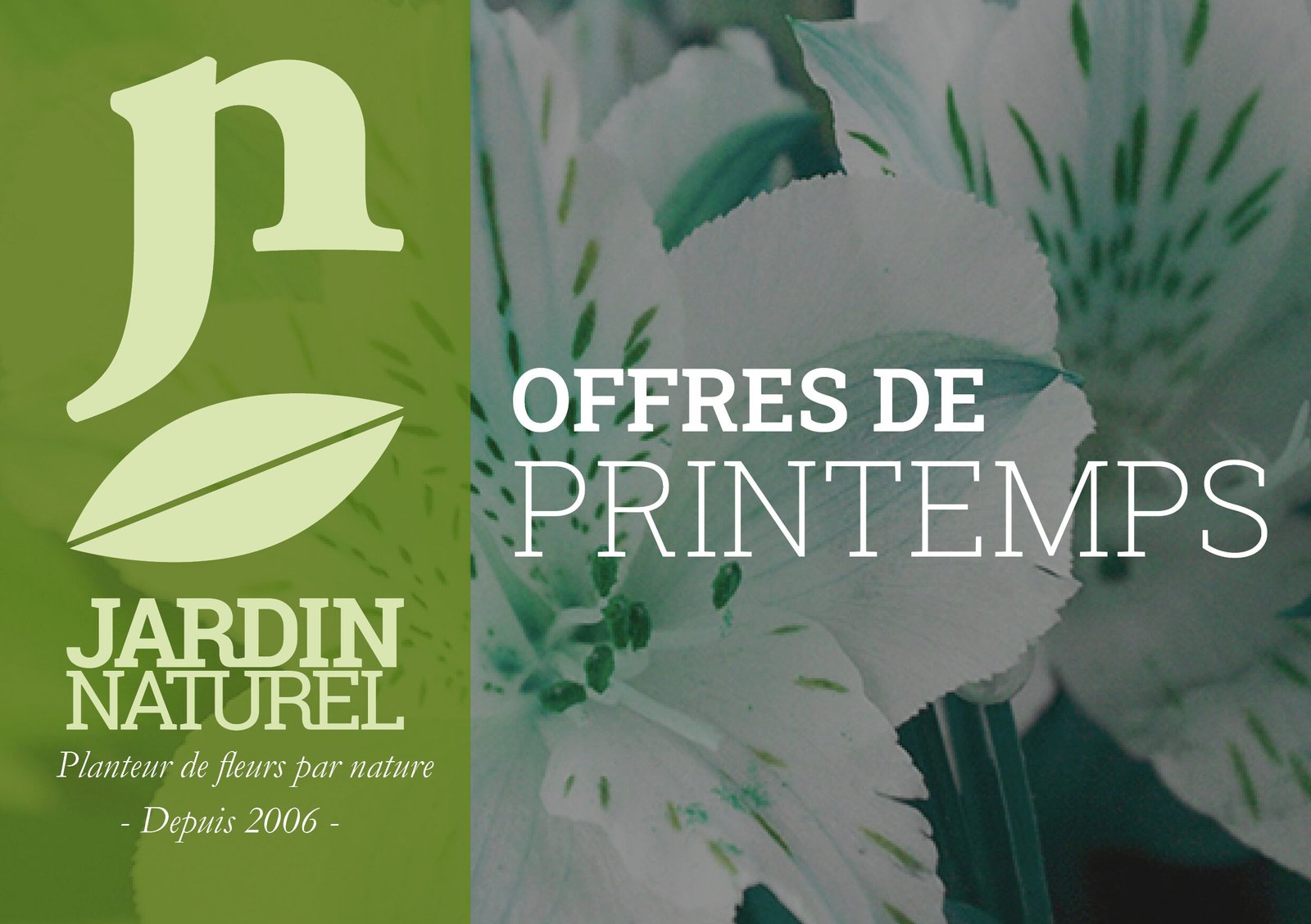Recto flyer plante offres de printemps