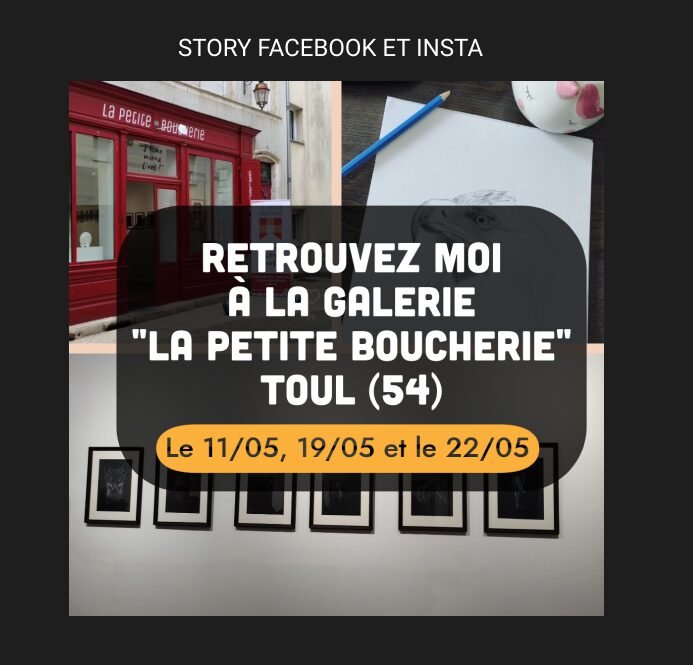 Story insta et facebook